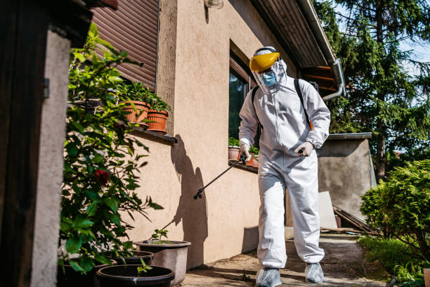 Best Residential Pest Control  in Pacolet, SC