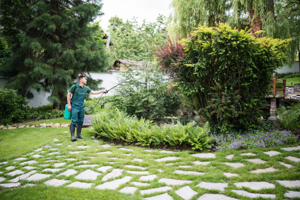 Best Pest Removal Services  in Pacolet, SC