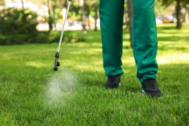 Reliable Pacolet, SC Pest Control Solutions