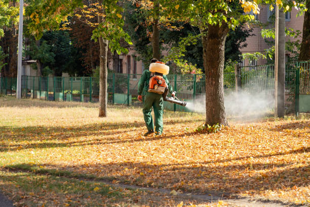 Best Wasp Removal Services  in Pacolet, SC