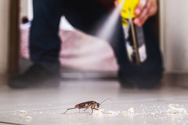 Best Insect Control  in Pacolet, SC