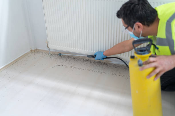 Best Termite Control Services  in Pacolet, SC